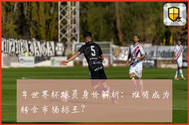 年世界杯球员身价解析:谁将成为转会市场标王?