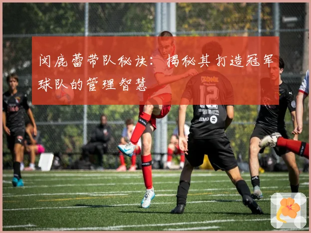 闵鹿蕾带队秘诀：揭秘其打造冠军球队的管理智慧